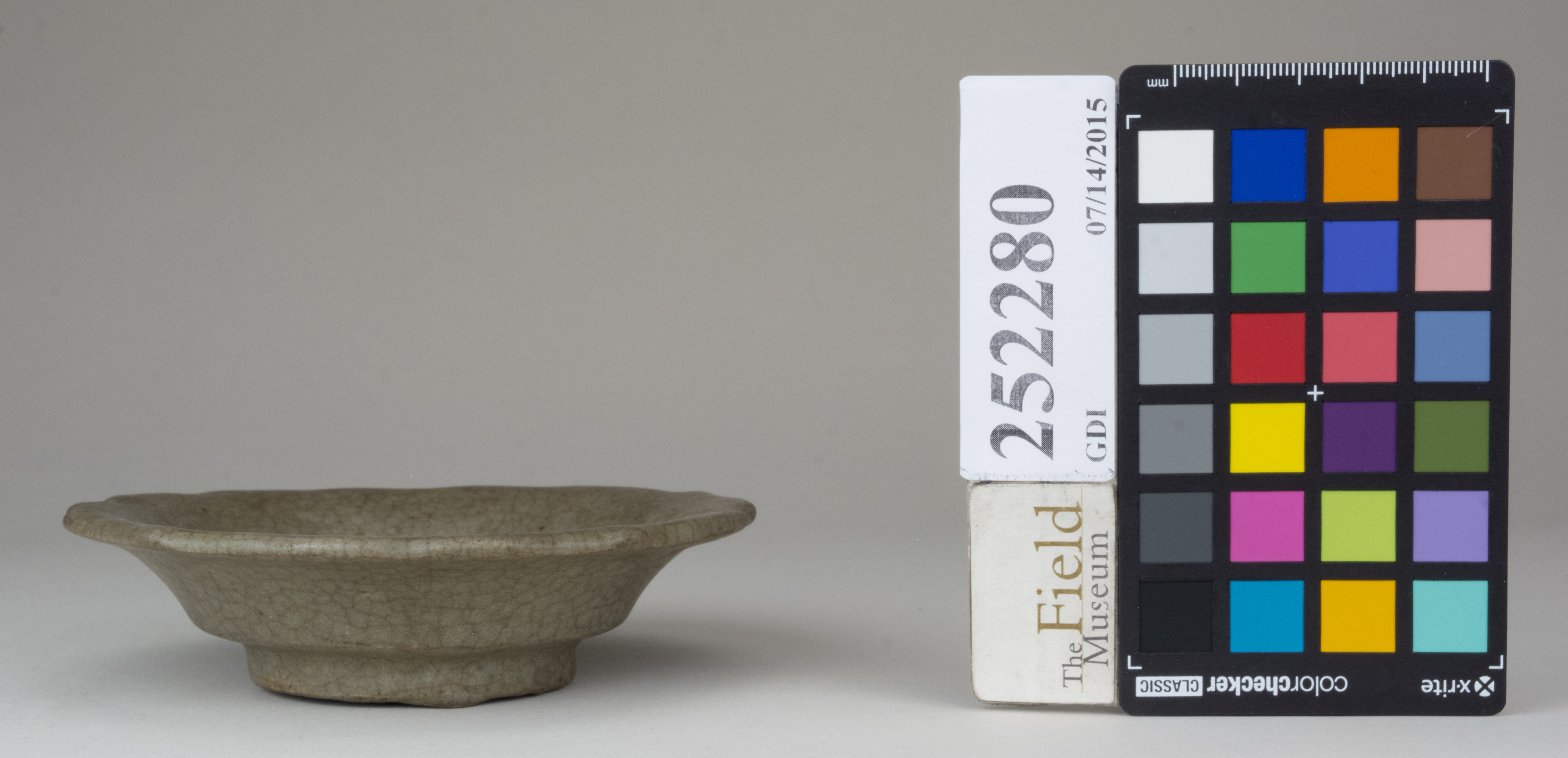 reference image, back 