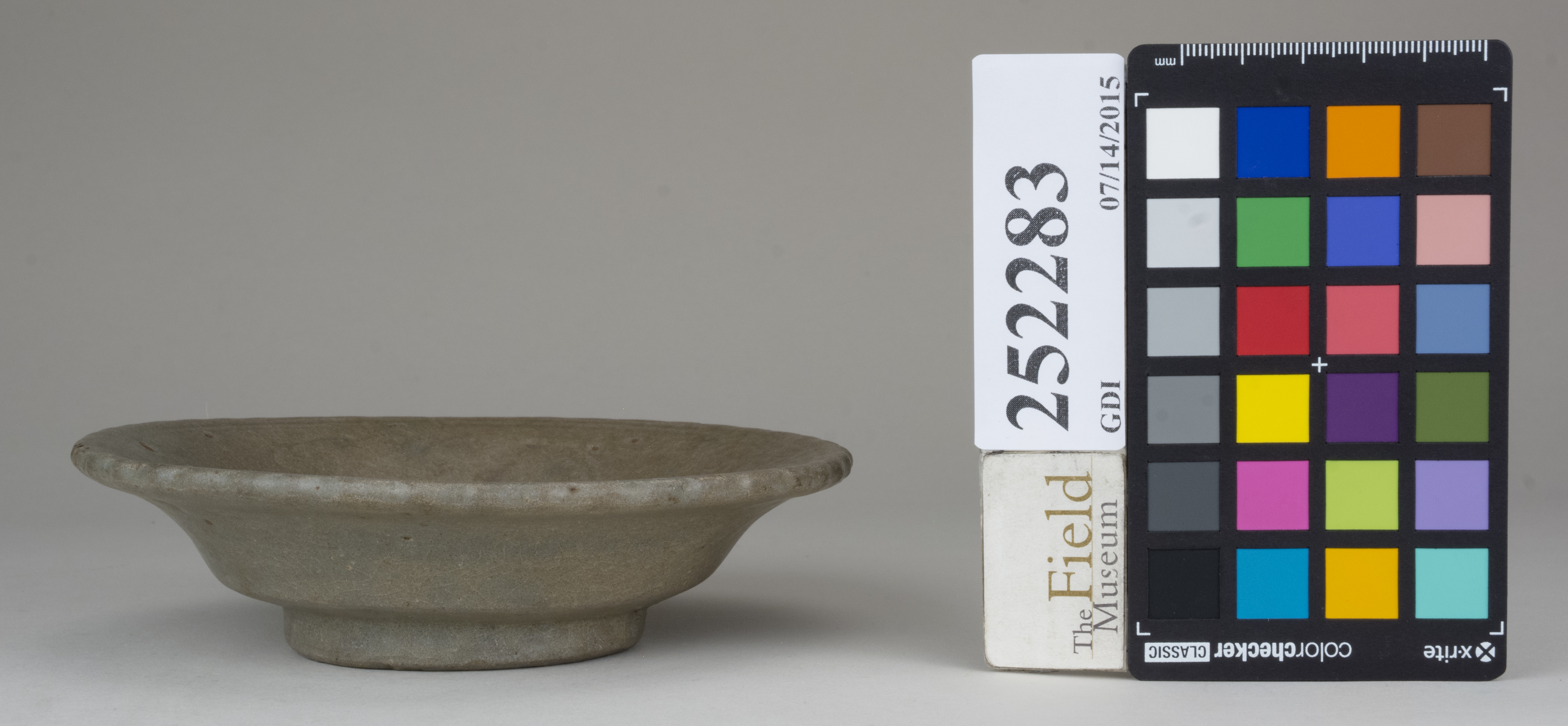 reference image, back 