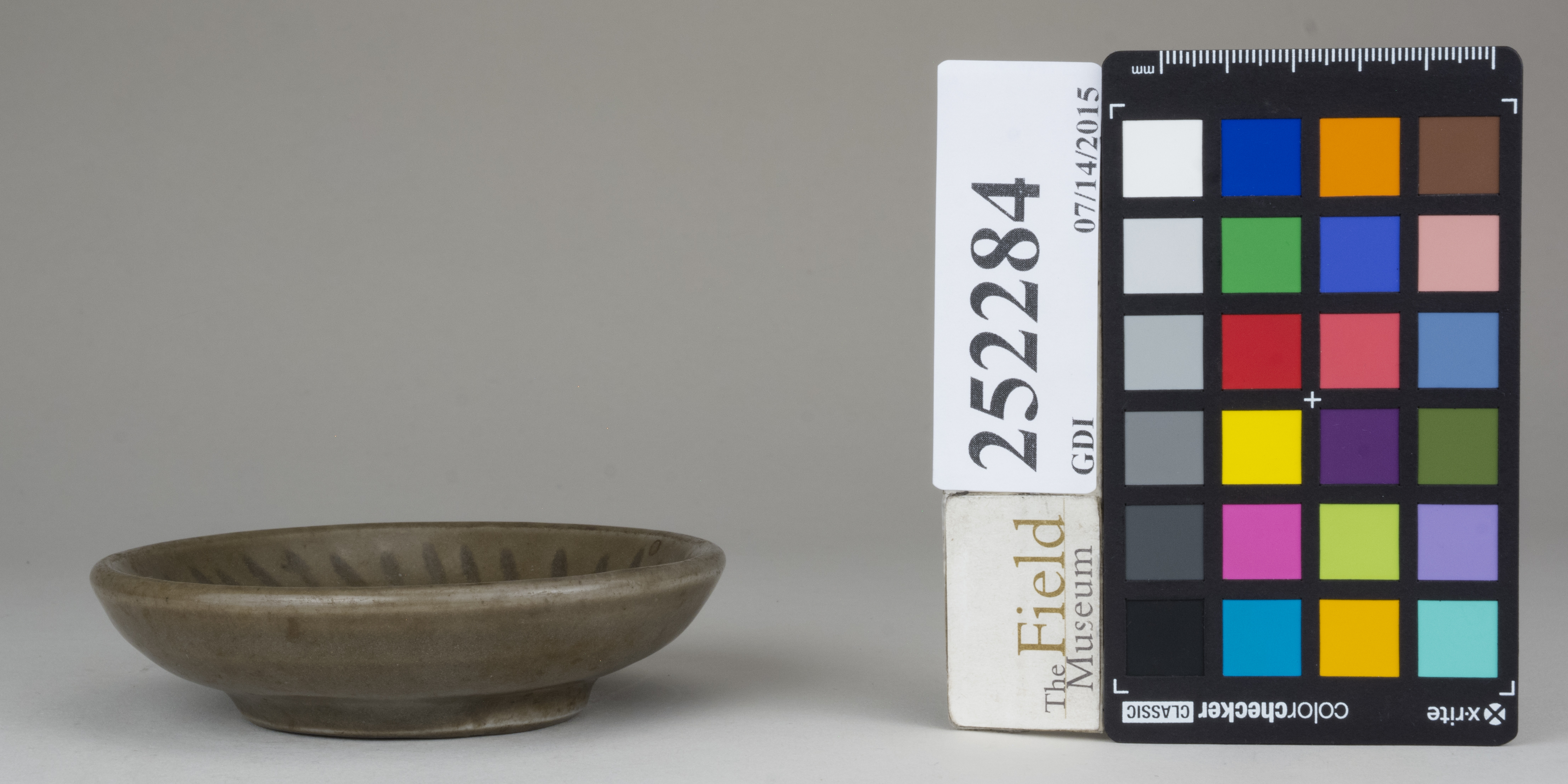 reference image, back 