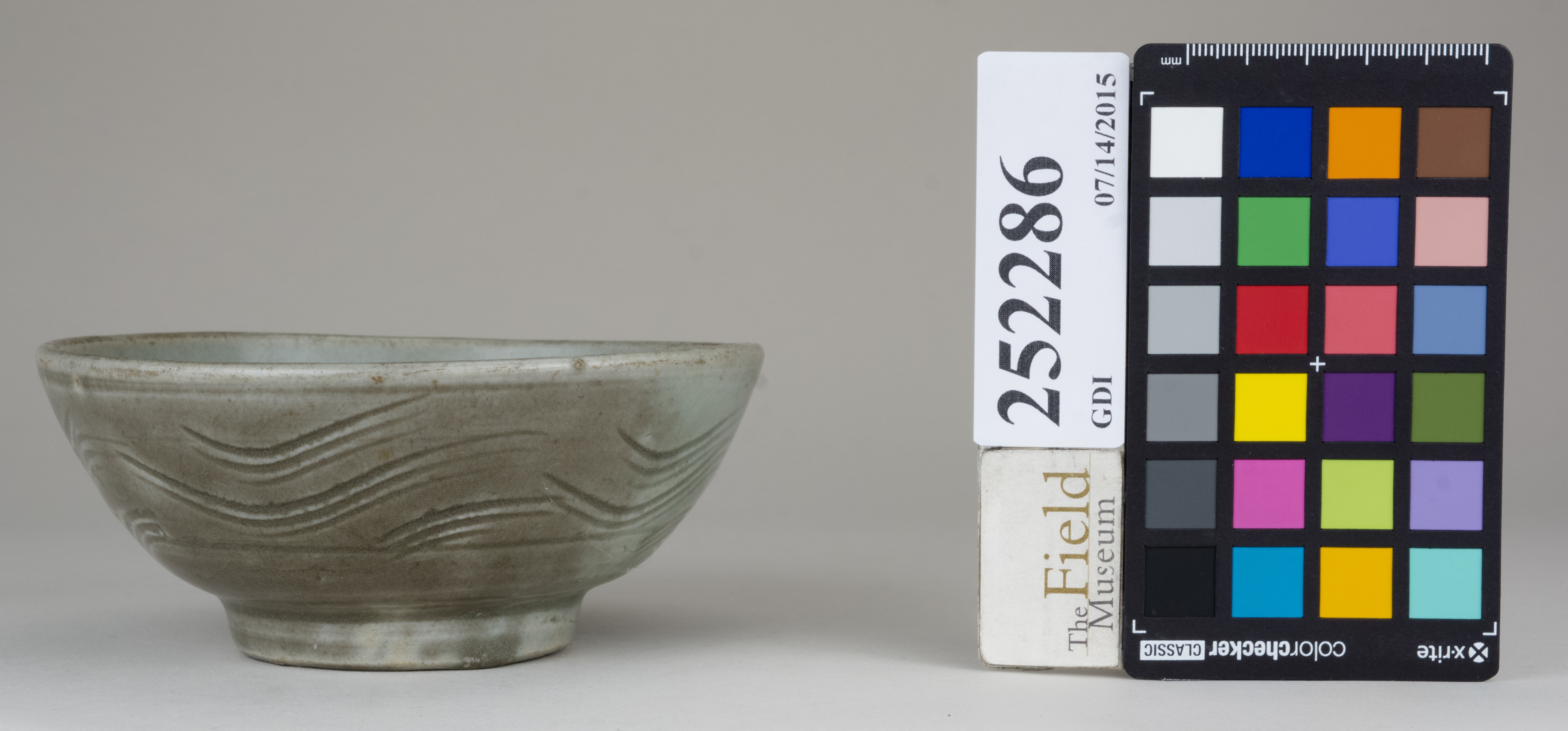 reference image, back 