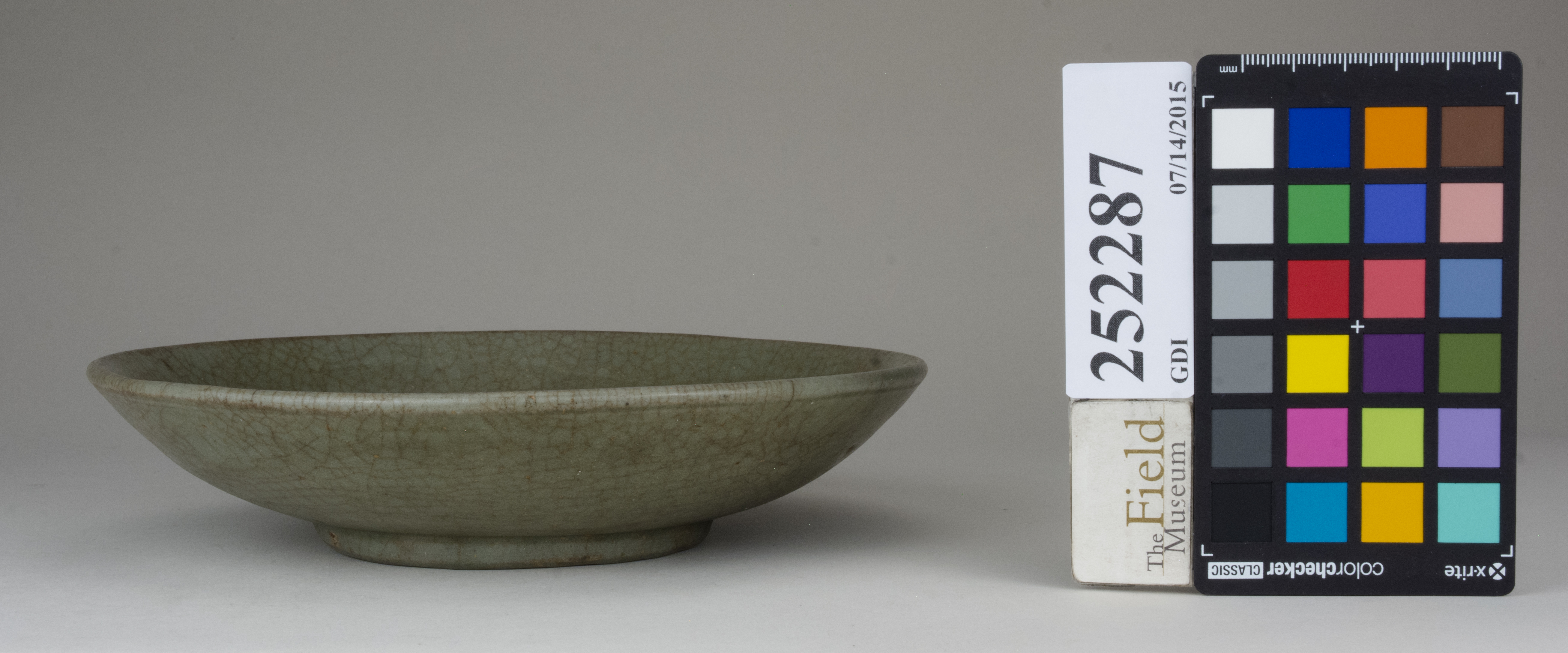 reference image, back 