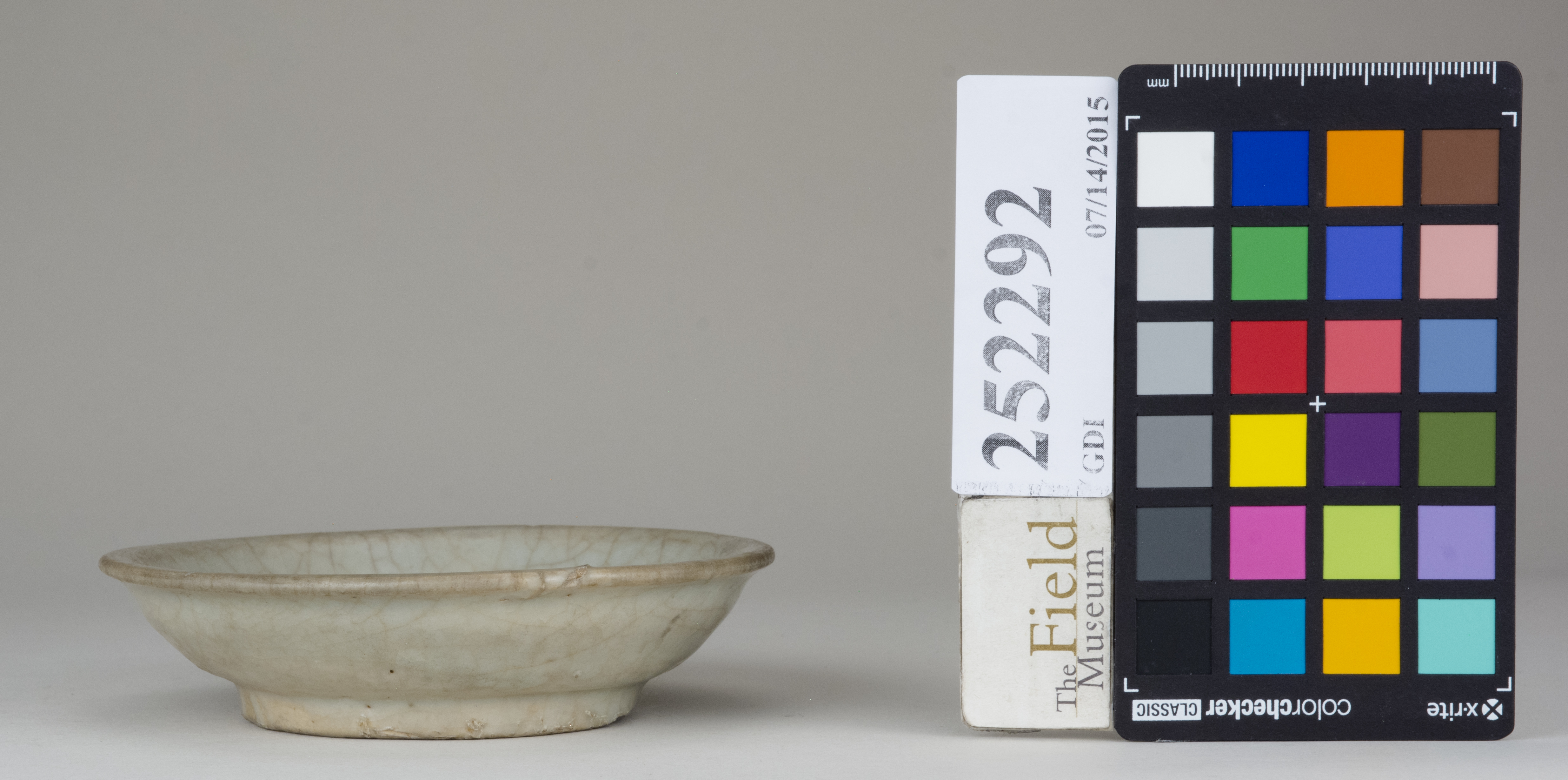 reference image, back 