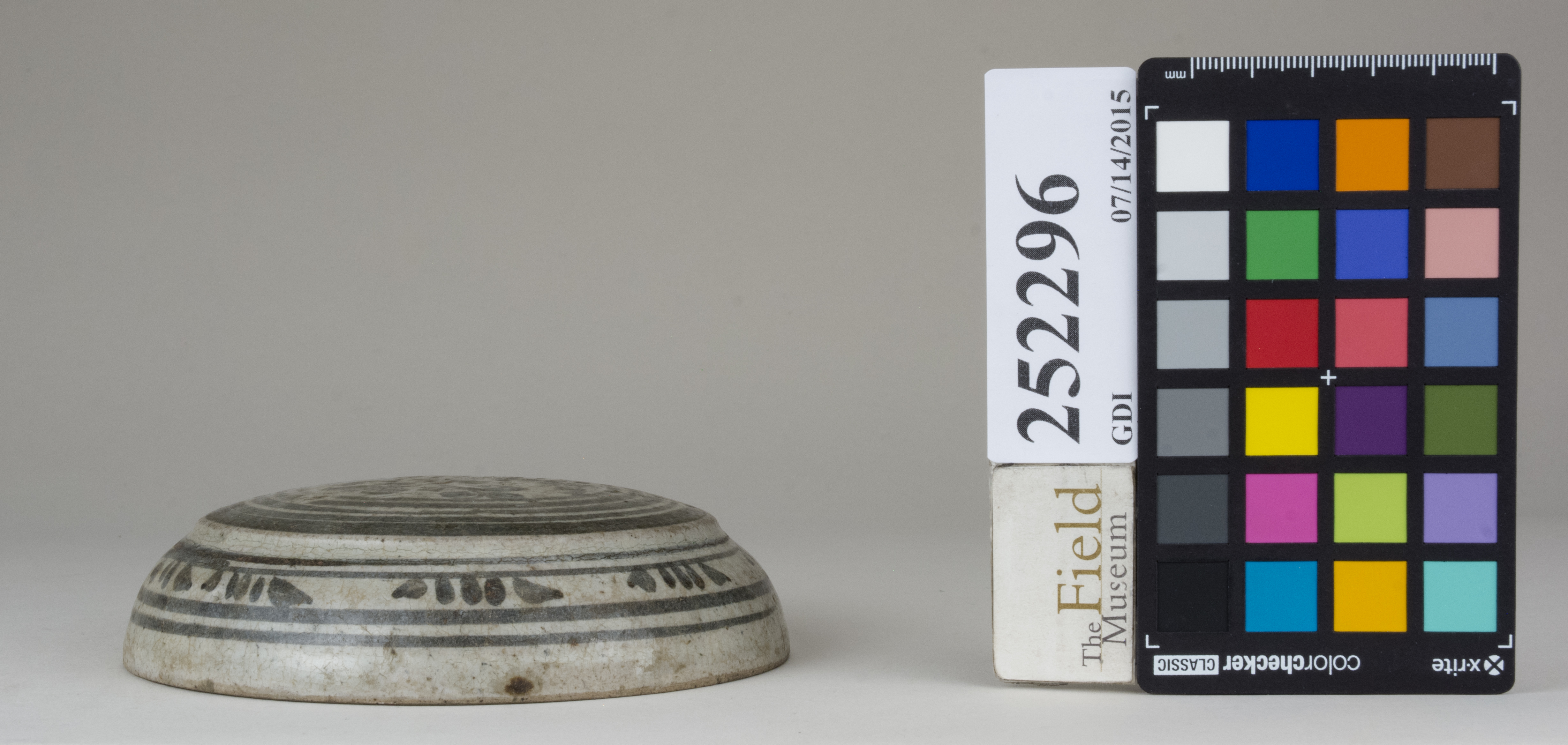 reference image, back 