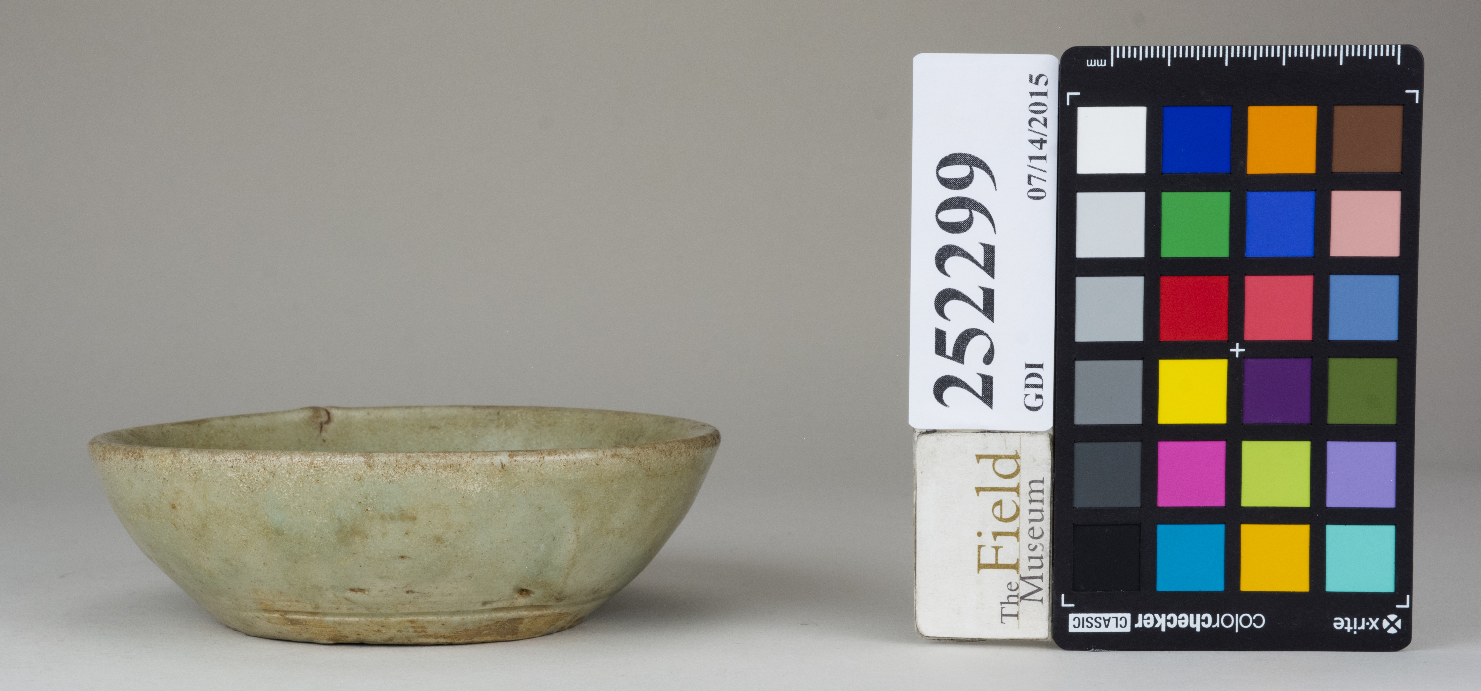 reference image, back 