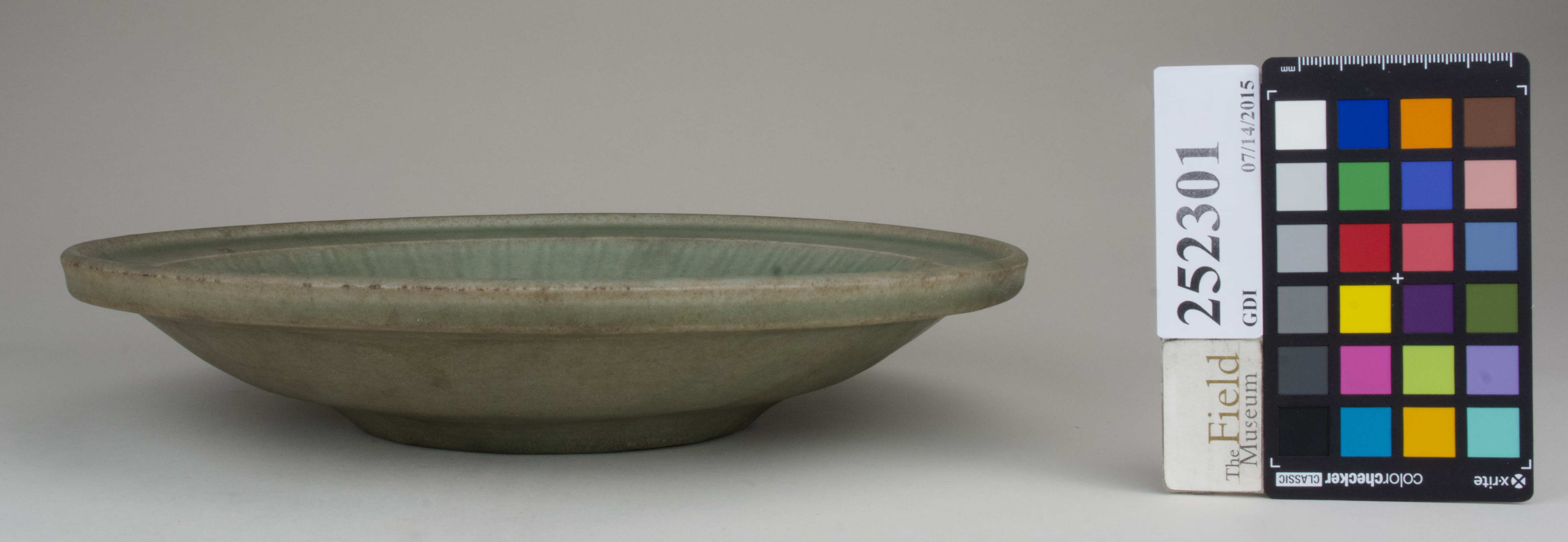 reference image, back 