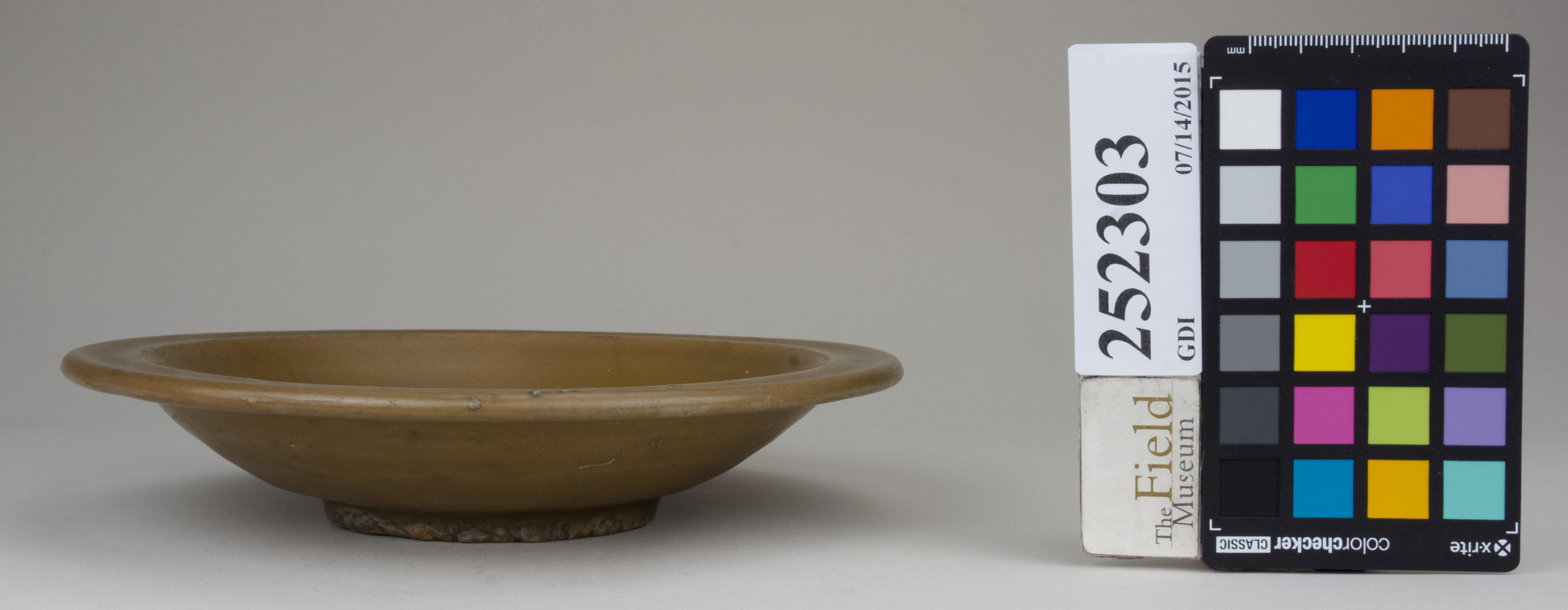 reference image, back 