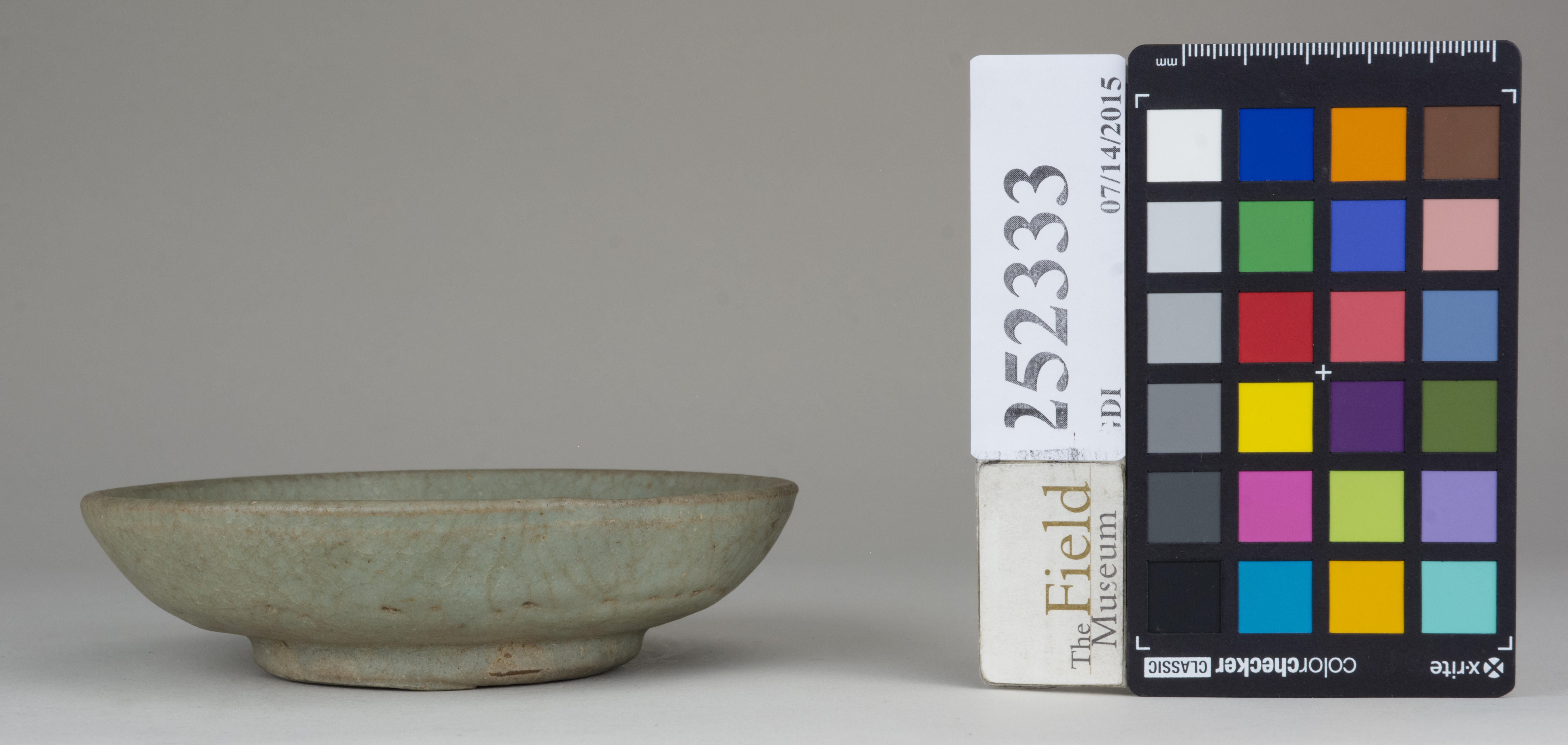 reference image, back 