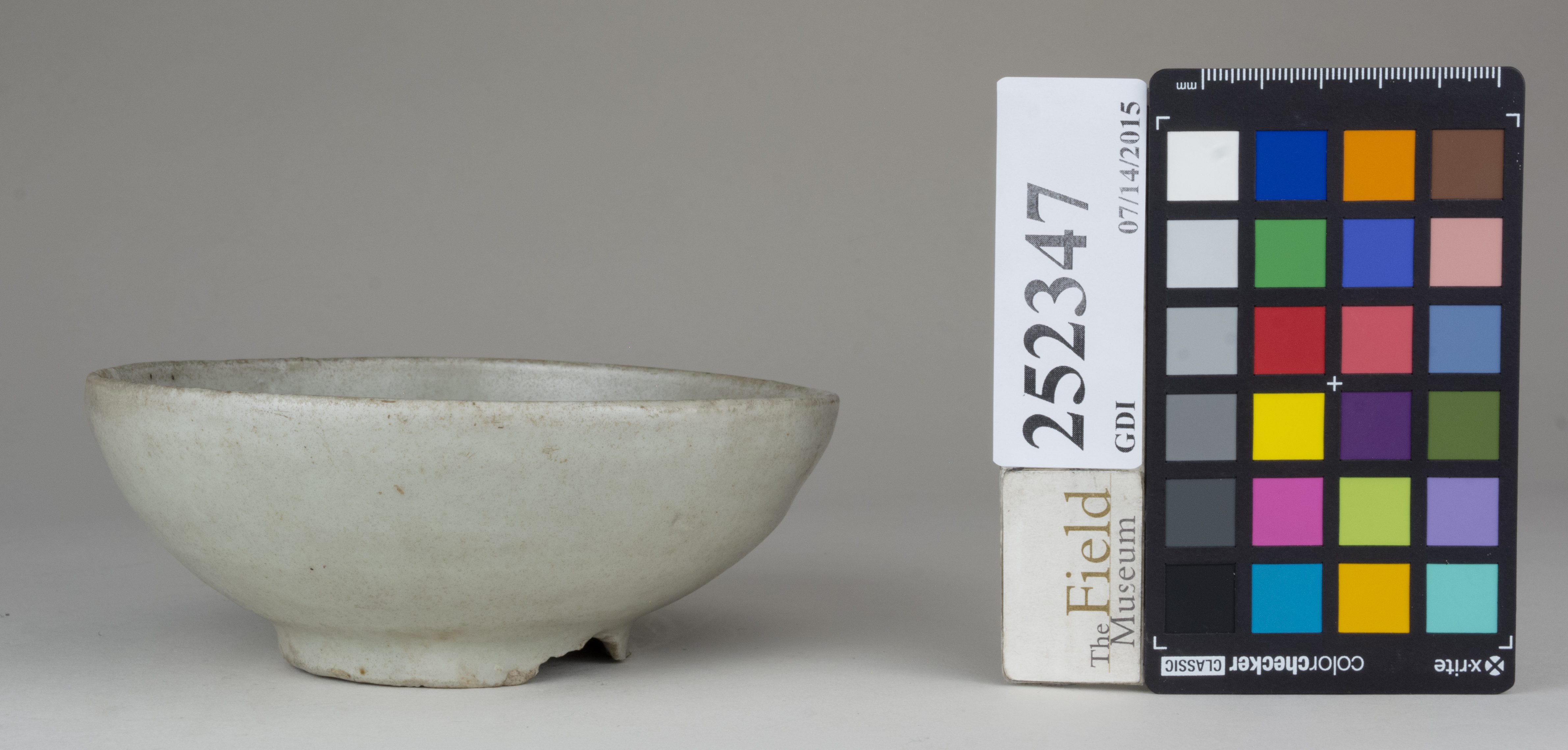 reference image, back 