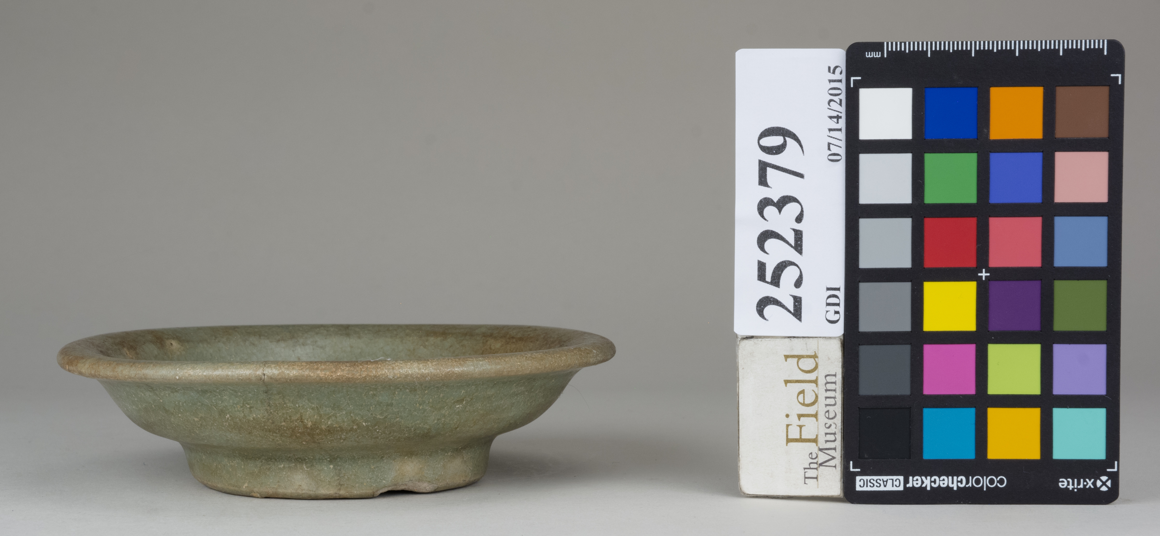 reference image, back 