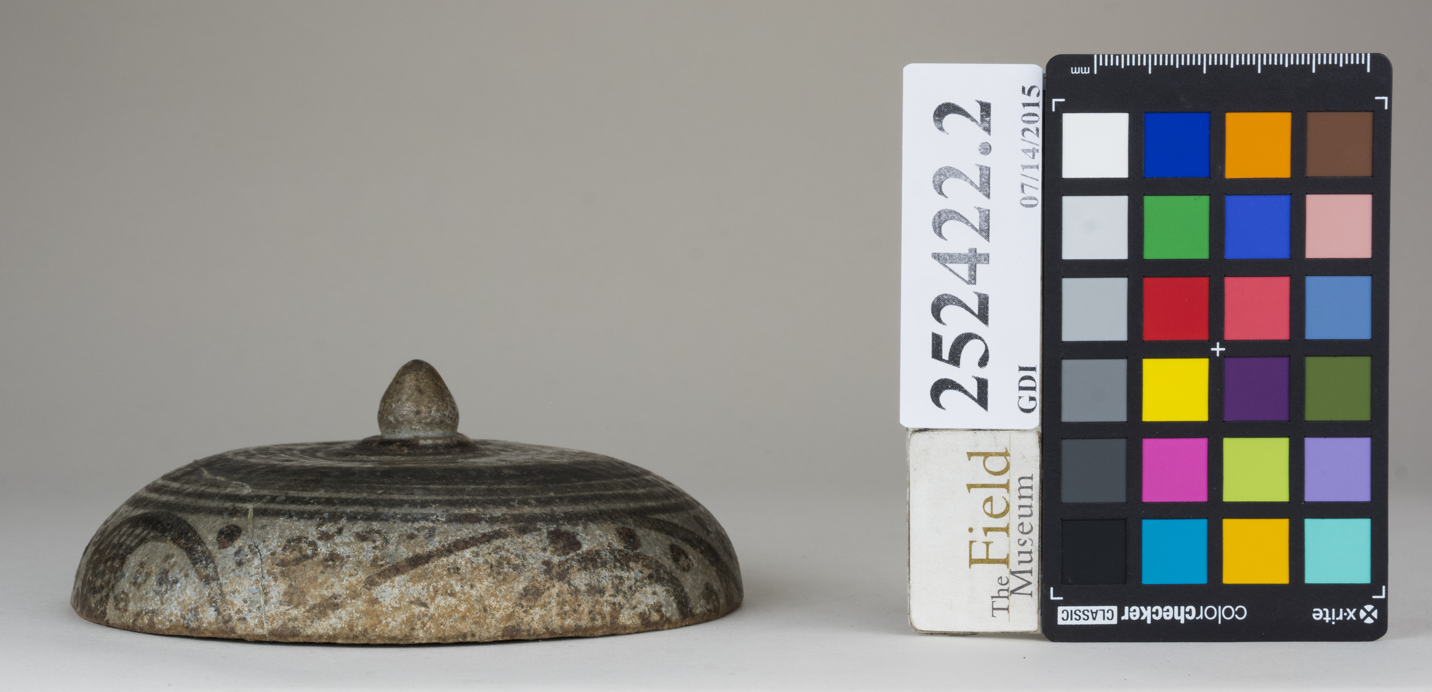 reference image, back 