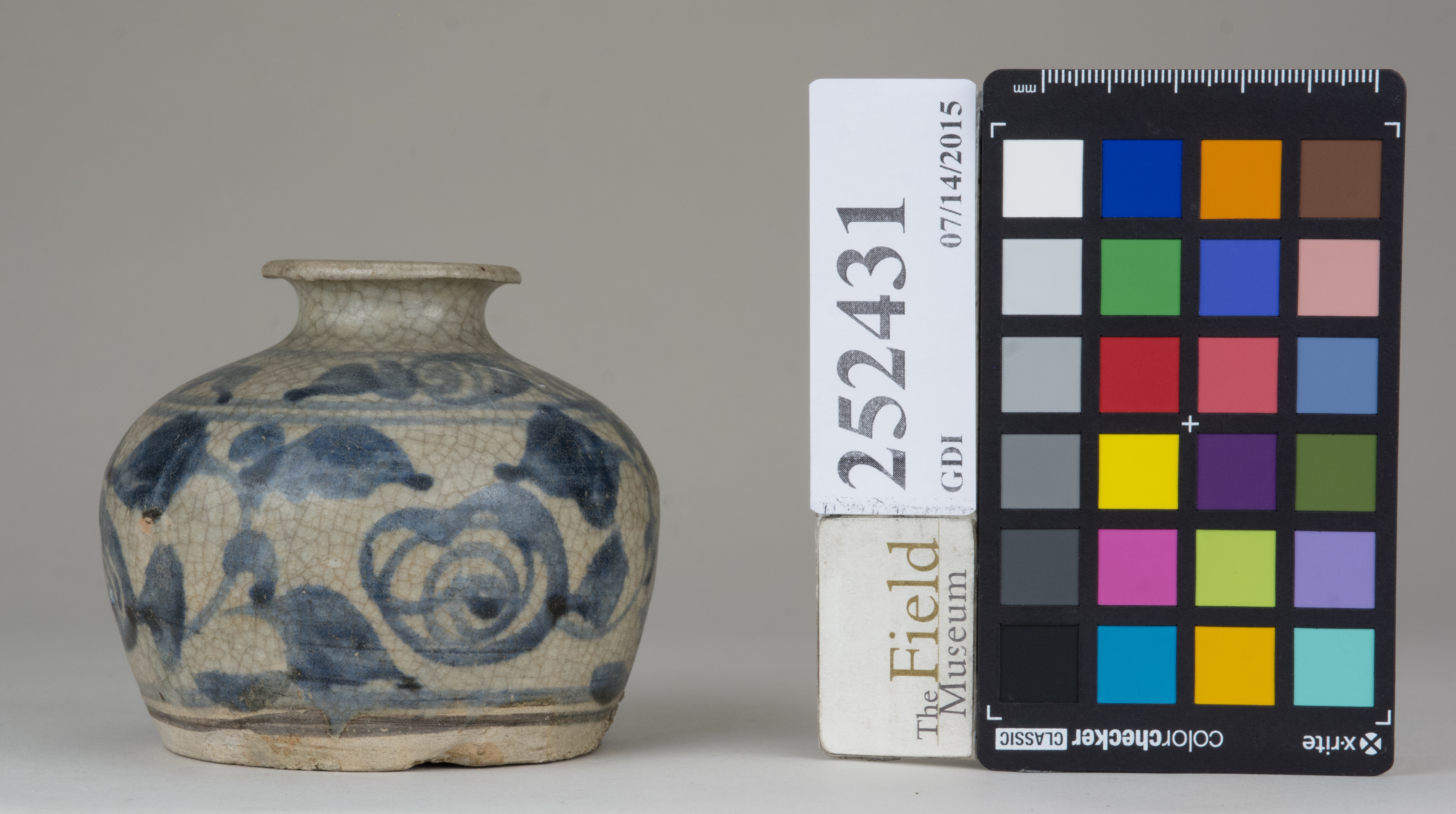 reference image, back 