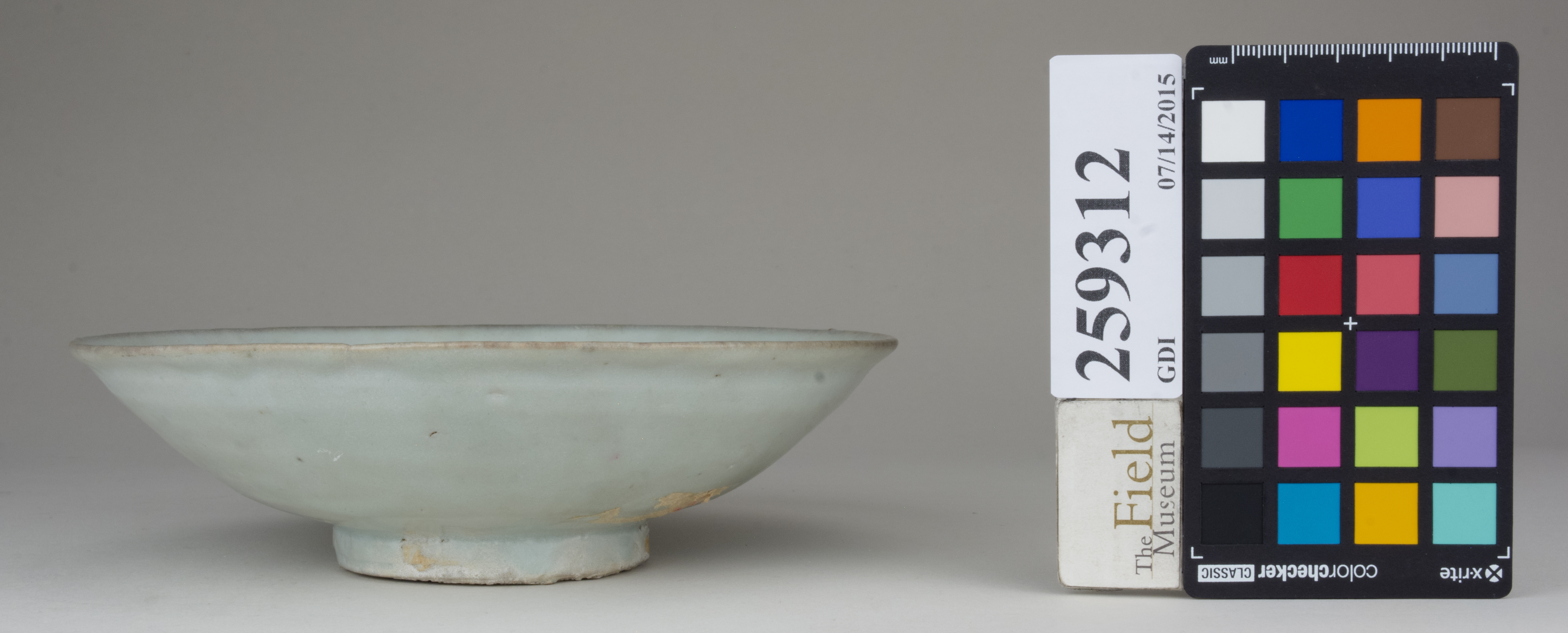 reference image, back 