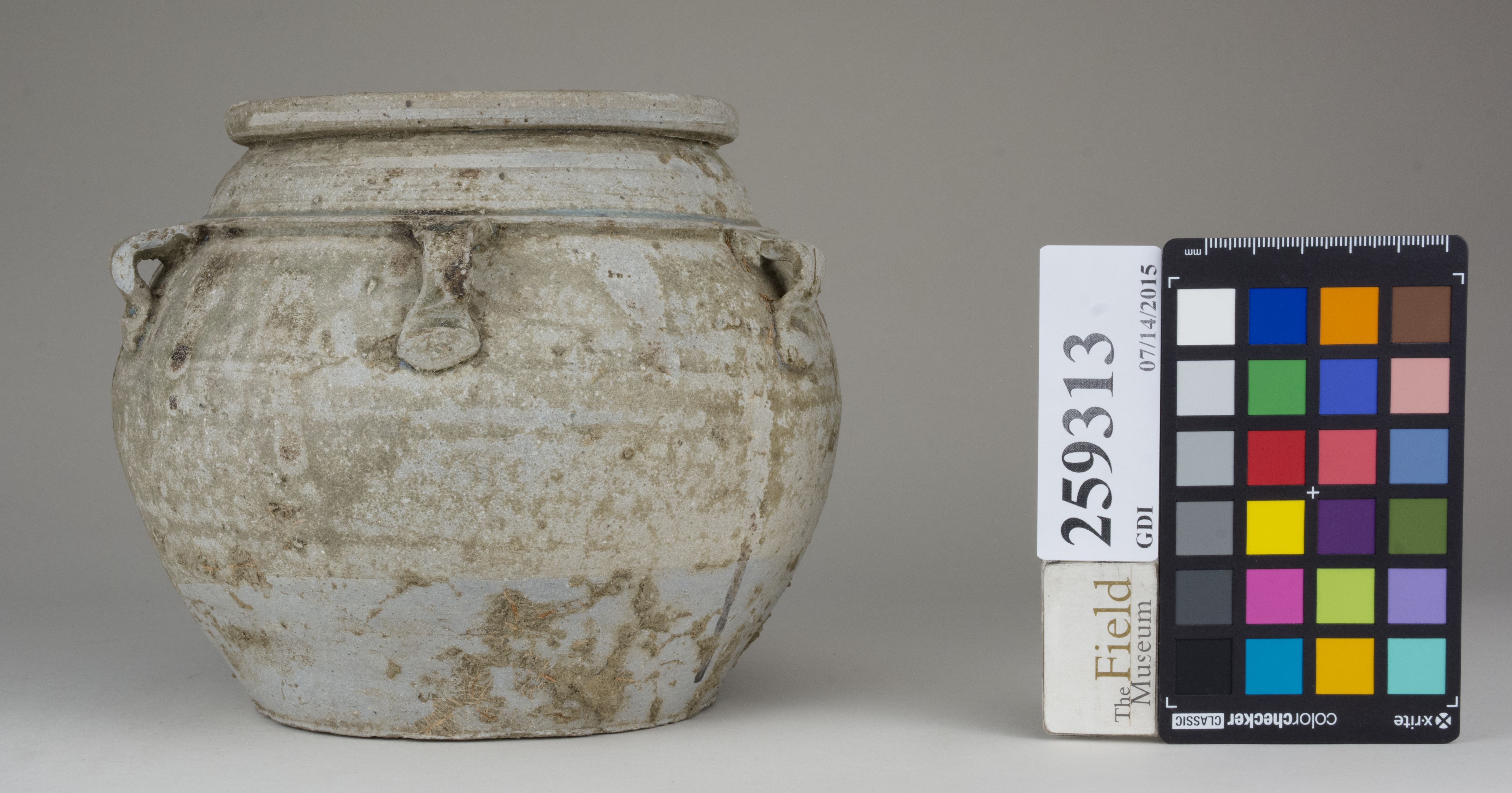 reference image, back 