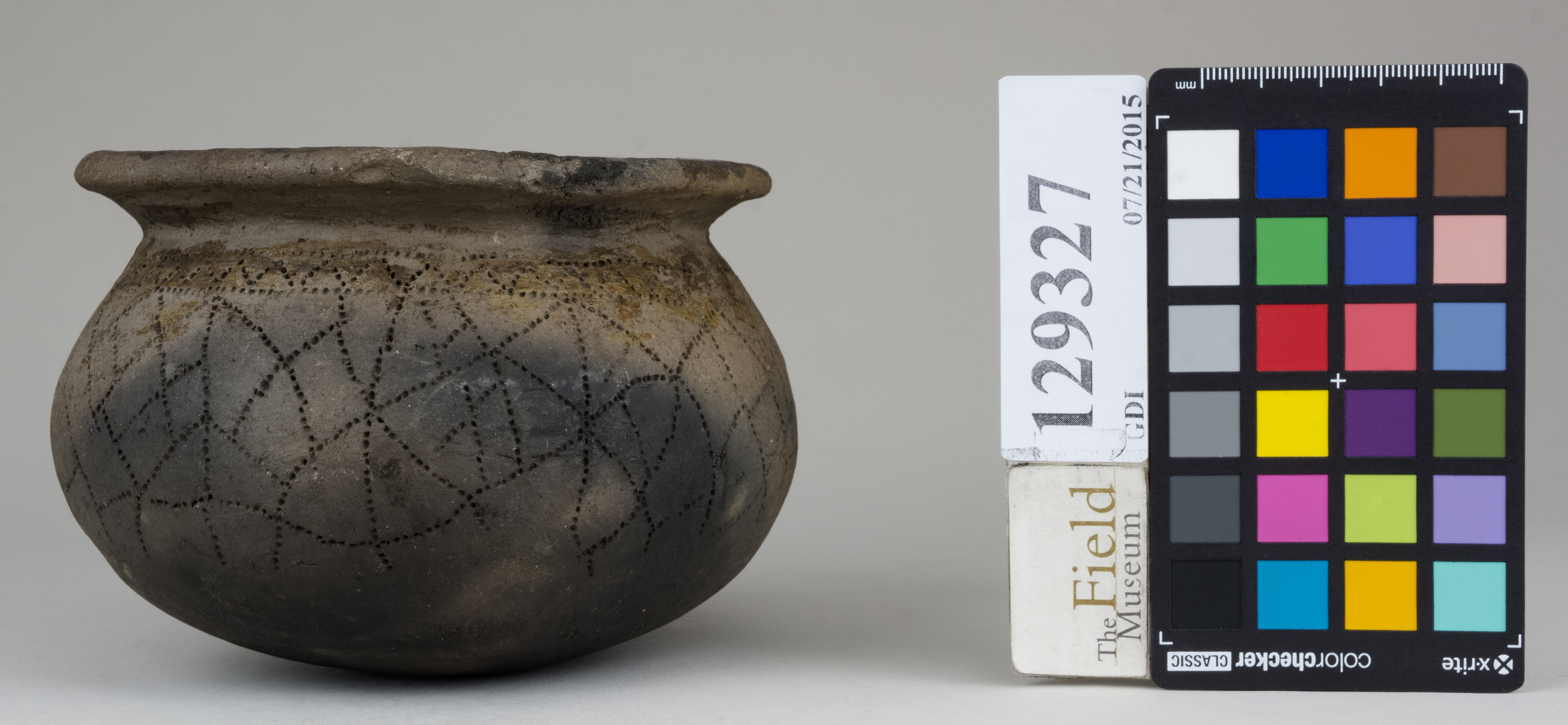 reference image, back 