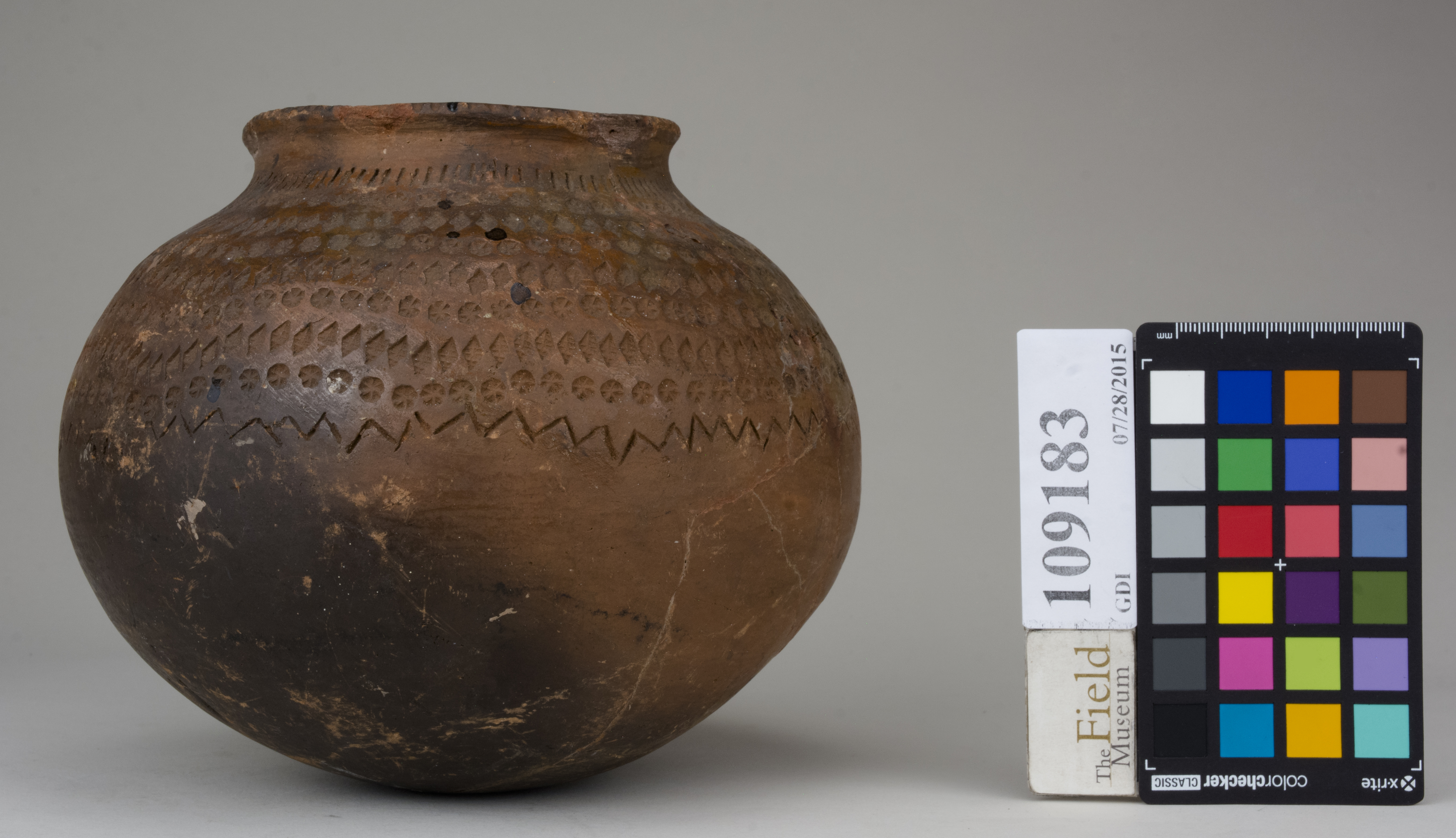 reference image, back 