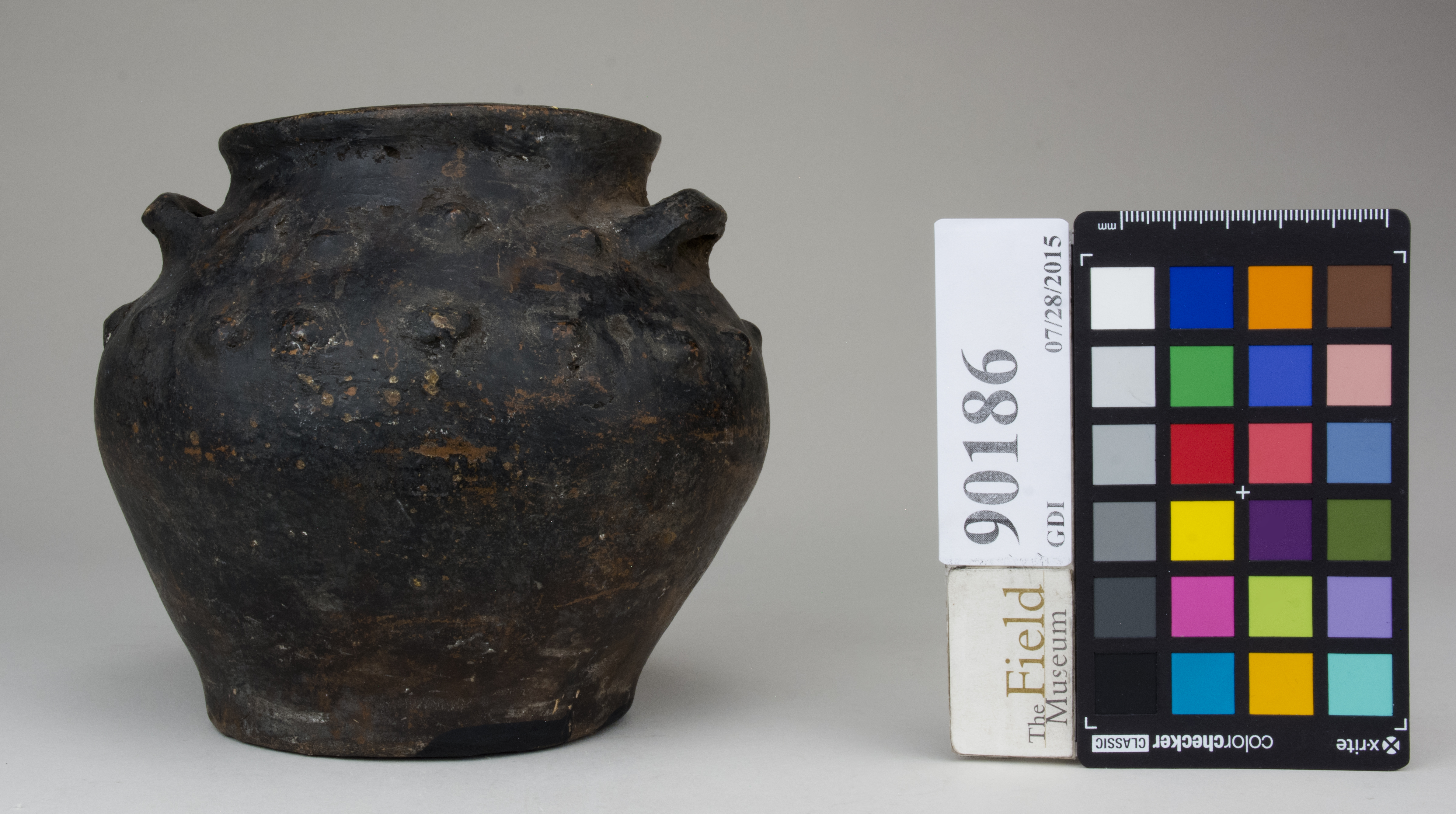 reference image, back 