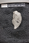 P 16381