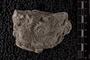 PE 4356