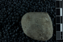 UC  14193