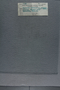 P 11499 label