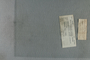 P 16661 label