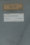 P 5061A label