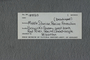 PE 18520 label