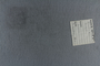 PE 78749 label