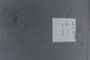 PE 78755 label