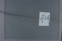 PE 78791 label