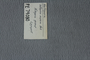 PE 79080 label