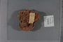 PE 79137 label