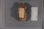 PE 79348 label