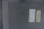 PE 79395 label