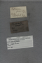 IMLS Silurian Reef Digitization Project, Image of a Silurian specimen label