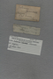 PE 80035 label