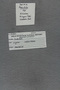 PE 80064 label