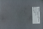 PE 80164 label