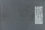 PE 80234 label