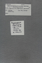 PE 80275 label