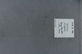 PE 80290 label