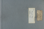IMLS Silurian Reef Digitization Project, Image of a Silurian specimen label