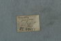 PE 80477 label