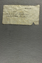 PE 80679 label