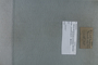 PE 80911 label