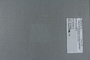 PE 81072 label