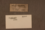 PE 81110 label