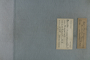 UC 13728 label