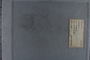 UC 1837 label