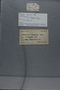UC 51537 label